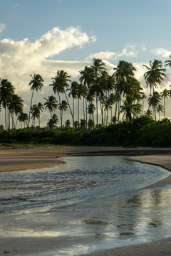 Uni&atilde;o rio e mar alagoas