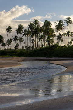 Uni&atilde;o rio e mar alagoas