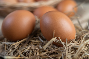 Eggs on the sacks, hemp on the wooden and straw