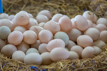 Fresh Eggs are in the basket