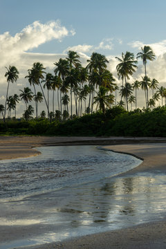 Uni&atilde;o rio e mar alagoas