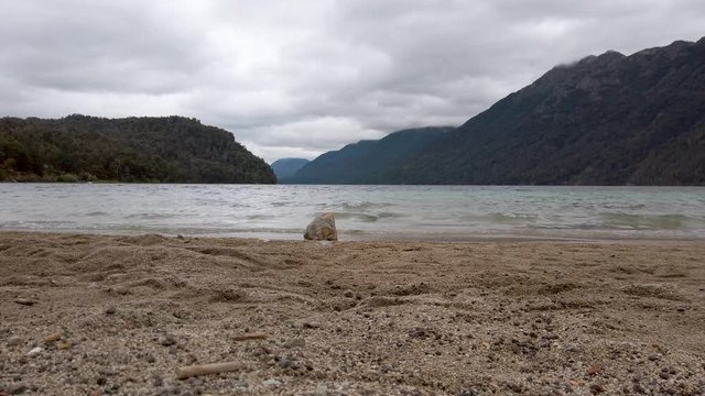 Correntoso lake coast in a cloudy day, Villa la Angostura, Patagonia Argentina