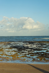 Praias Maceió Alagoas