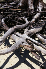 Beautiful natural landscape of the rock islands at Micronesian Country