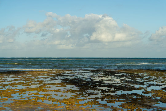 Praias Macei&oacute;