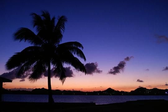 Beautiful natural sunset landscape