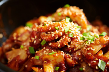Korean spicy stir fried octopus 