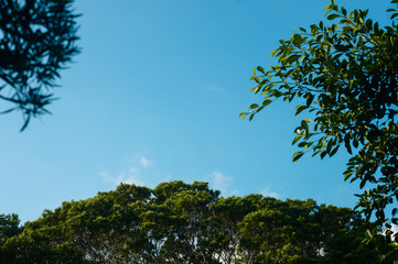 The shades of New Caledonia & Family times