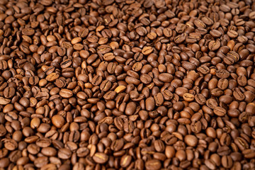 Close-up of roasted coffee beans