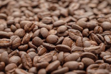 fresh roasted coffee beans background