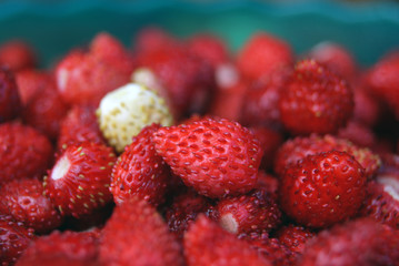 Small ripe white and red strawberries close-up. Organic natural berries.