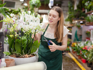 Portrait of smiling woman florist with tools in hands among phalaenopsis in floral shop