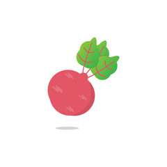 vegetable Shallot vektor design eps 10.