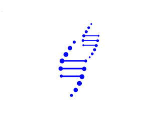 dna strands on white background