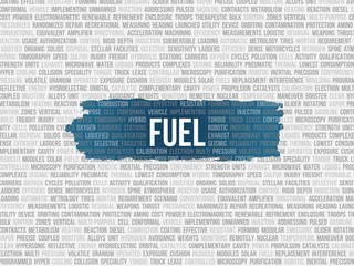 Fuel