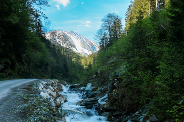 Fototapeta na wymiar A lush Alpine valley in Austria. There is a stream on the side. In the back there is a high mountain massive, partially covered with snow. Early spring in the mountains