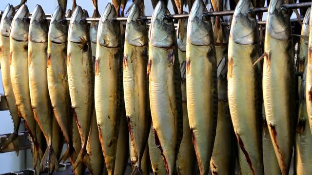fish hang smoked factory rack row prepared