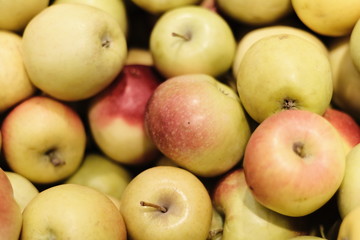 Seasonal apples in karzina after harvest