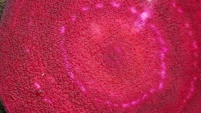 close up slice beet root