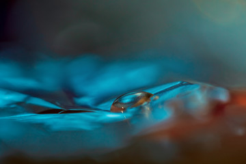 Drop of water on a blue background with beautiful bokeh. Macro.
