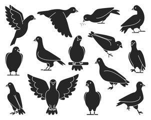 Pigeon of peace black vector illustration on white background.Vector illustration set icon dove of bird .Isolated set black icon pigeon.