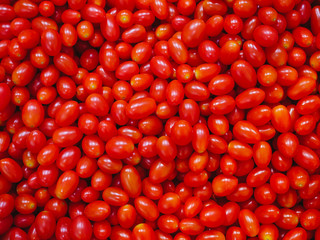 Tomato fresh vegetable farm harvest Cherry tomato background