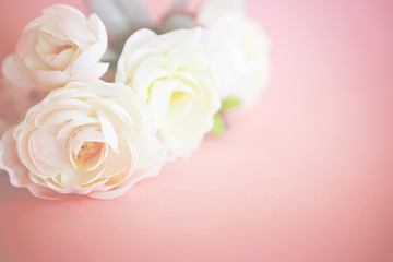 lovely rose flower on a vintage retro pastel pink background , sweet and romatic moment
