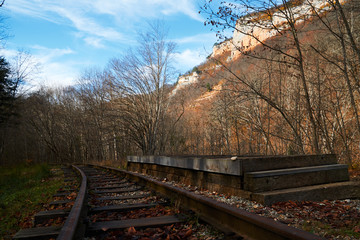 Railway platform in the autumn forest.