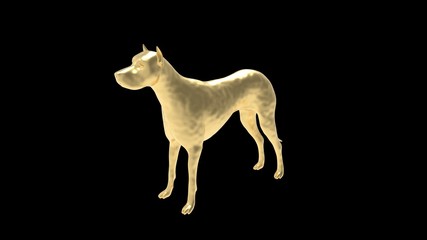 Fototapeta na wymiar 3D rendering of an animal pet watch dog computer generated model