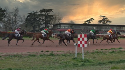 Un Dimanche de Courses
