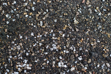 Mixed soil for growing cactus