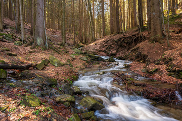 brook during snow melting in spring and tusk fallen leaves from autumn, Czech