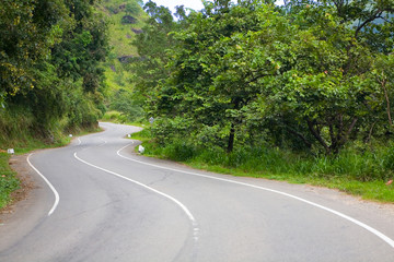 A winding two-lane automobile asphalt road with markings and plants on the sidelines.