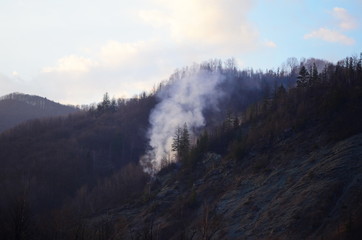 Raging pine tree fire across the hill