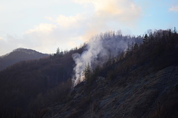 Raging pine tree fire across the hill