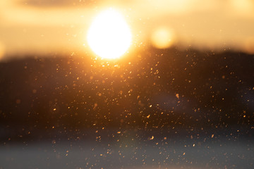 sun and snow