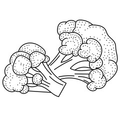 Hand drawing broccoli; black and white vector illustration; doodle vegetables for stickers, posters, web design. 