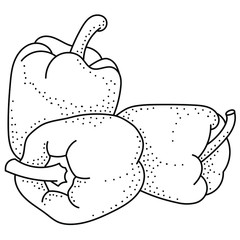 Hand drawing bell pepper; black and white vector illustration; doodle vegetables for stickers, posters, web design. 
