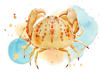 greeting card with crab on a watercolor painted background, watercolor illustration, hand drawing, summer sea composition