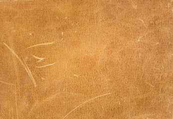 Genuine leather texture. Leather surface. Close up. Copy space.