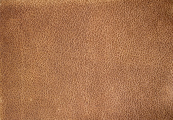 Fototapeta premium Genuine leather texture. Leather surface. Close up. Copy space.