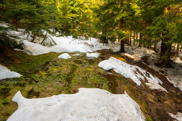 melting snow in the mountains in spring and water run off with paths, sunny day with beautiful sky,...