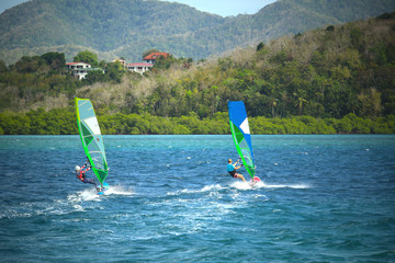 Windsurfers in the tropical bay waters at Point du Bout (Fort-de-France, Martinique)