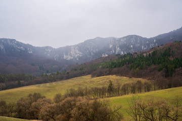 Naklejka premium Remains of rock city in Sulov Rocks, Súľov Rocks is a Slovak national nature reserve. Slovakia Sulovske Rocks High sandstone rocks in Sulov Rocks. Zilina region, Slovakia Sulovske Rocks.
