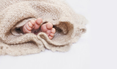 Small children's legs look out from under a striped plaid. Family happiness. Love.