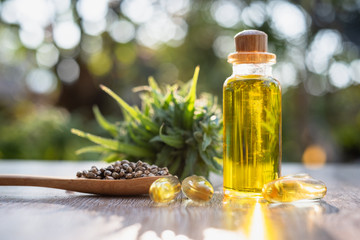 Researchers capture a bottle of hemp oil. CBD distilled into oil. Hemp tree background. Medical marijuana concepts in the treatment of diseases There is space for entering text.
