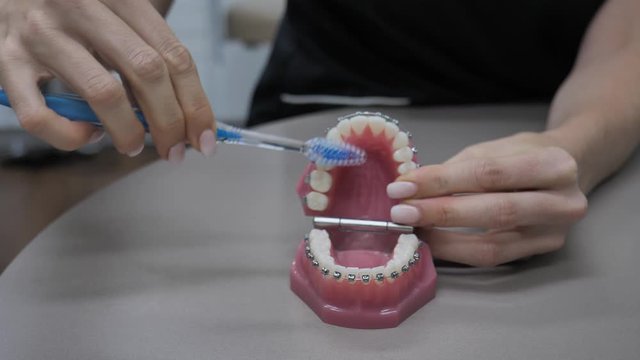 Woman shows how to brush teeth with set of fake teeth