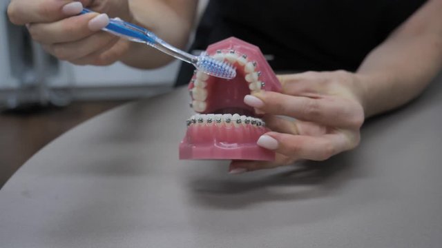 Woman brushing fake teeth with braces