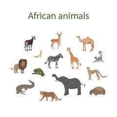 Vector set of cartoon cute African animals. Okapi, impala, camel, xerus, lion, chameleon, zebra, giraffe, lemur, cheetah, crocodile, leopard, elephant, tortoise