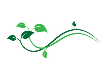 Elemento floreale decorativo verde, ramo con foglie di edera, liana - obrazy, fototapety, plakaty